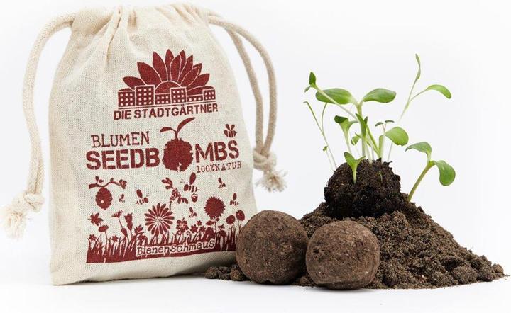 Actual product image Die Stadtgärtner Seed bombs bee feast (Flower seeds)