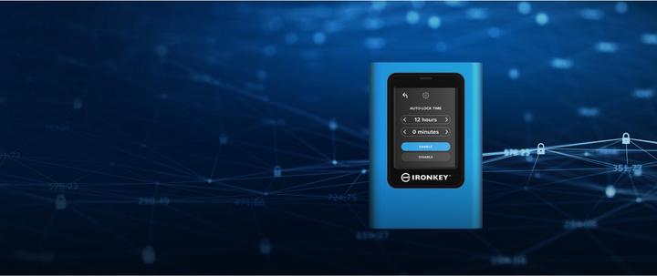 Actual product image Kingston IronKey Vault Privacy 80 (1920 GB)