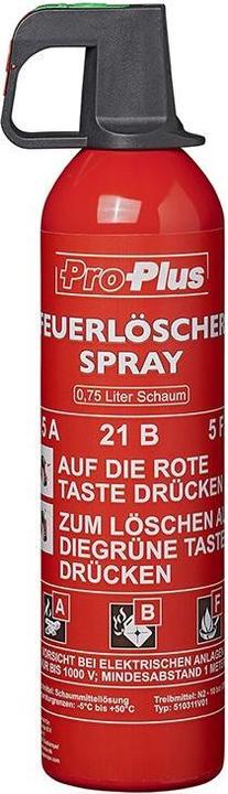 ProPlus Fire extinguisher (A, B, F)
