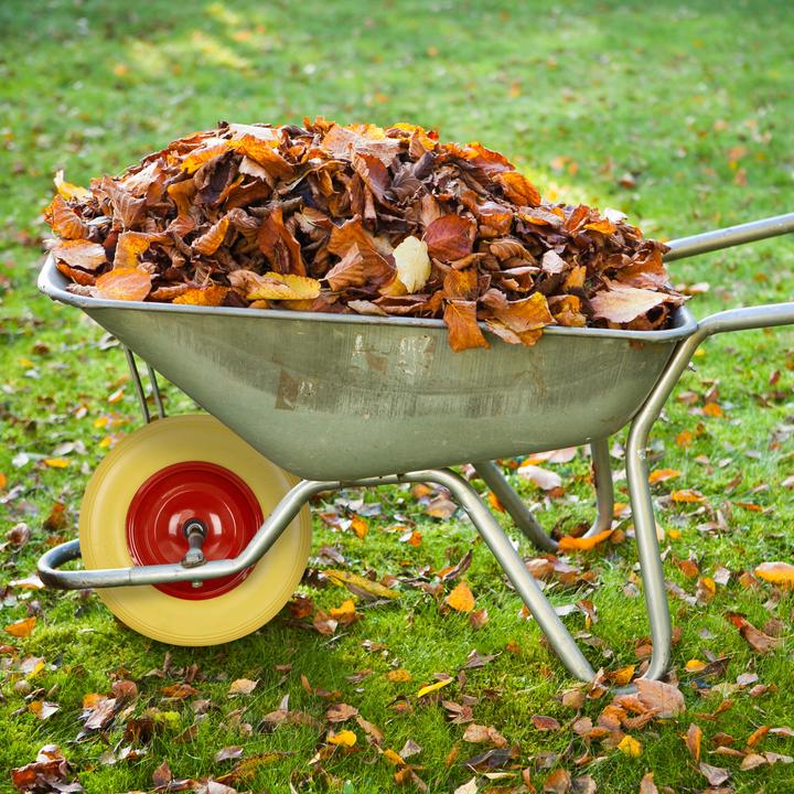 Image du produit Relaxdays Roue de brouette, en caoutchouc