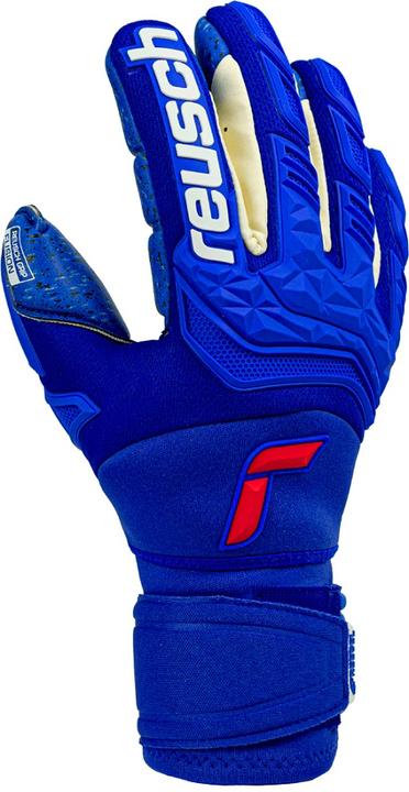 Produktbild Reusch Attrakt Freegel Fusion Ortho-Tec Goaliator Torwarthandschuhe (8.5)