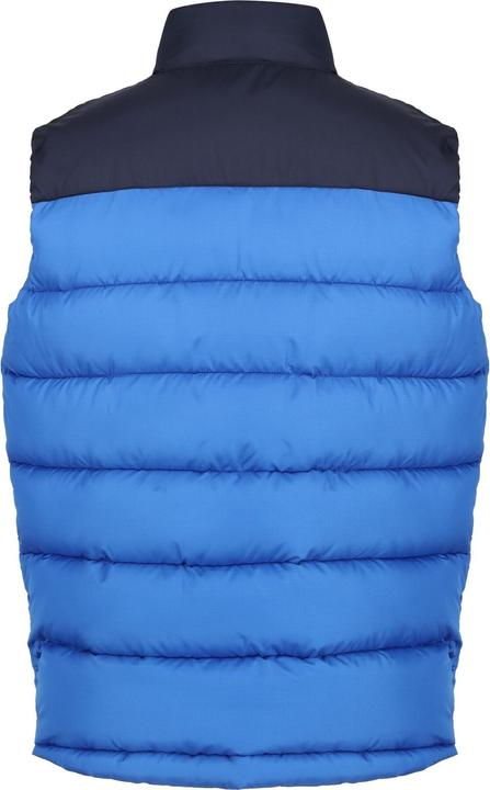 Actual product image Regatta Mens Vintage Colour Block Gilet (M)