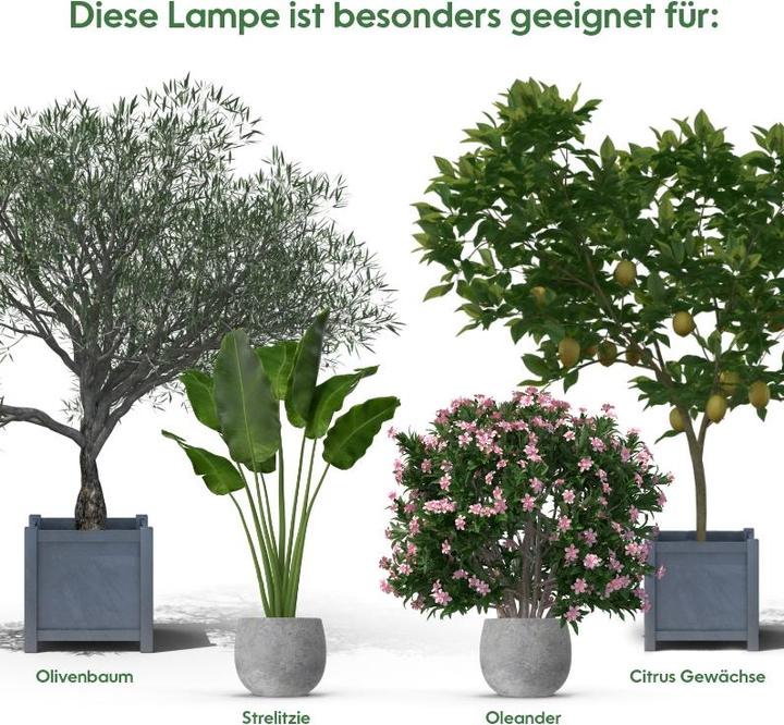 Immagine prodotto Venso Cresce l'inverno leggero (LED, 245 V)