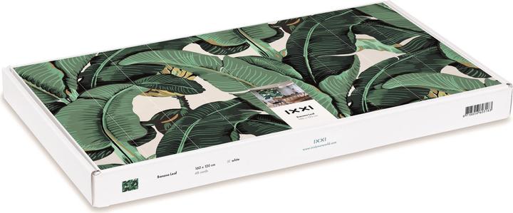 Image du produit Ixxi Feuille de bananier (80 x 100 cm)