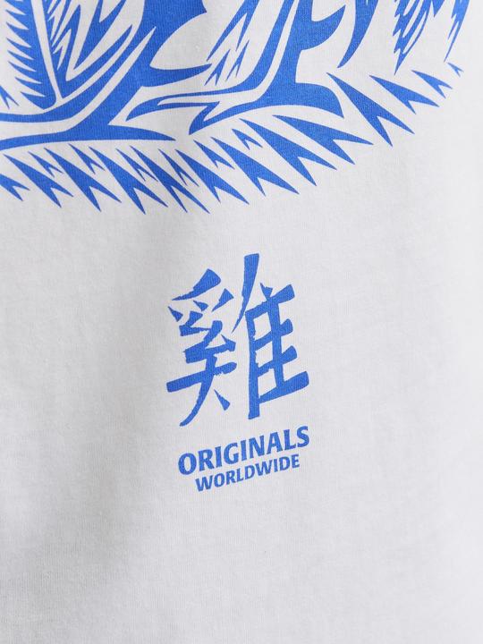 Image du produit Jack & Jones Jorsnake Tee Ss Crew Neck Tg Ln (M)