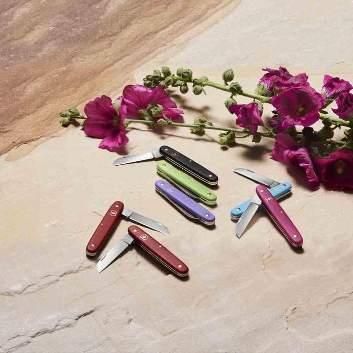 Produktbild Victorinox Blumenmesser (5.50 cm)