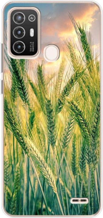 Cornfield