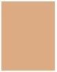 Actual product image Bourjois Healthy Mix Clean & Vegan Anti-Fatigue Concealer (52 Beige)
