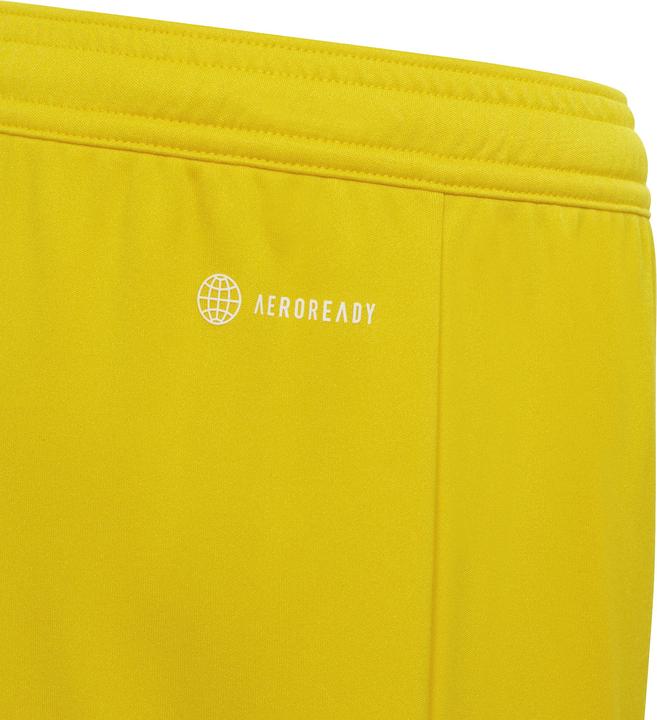 Actual product image adidas Children's shorts Entrada 22 yellow IC7411 (140cm) (140)