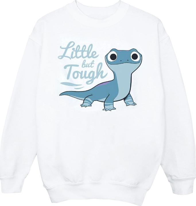 Disney Frozen 2 Salamander Bruni Tough Sweatshirt Jungen