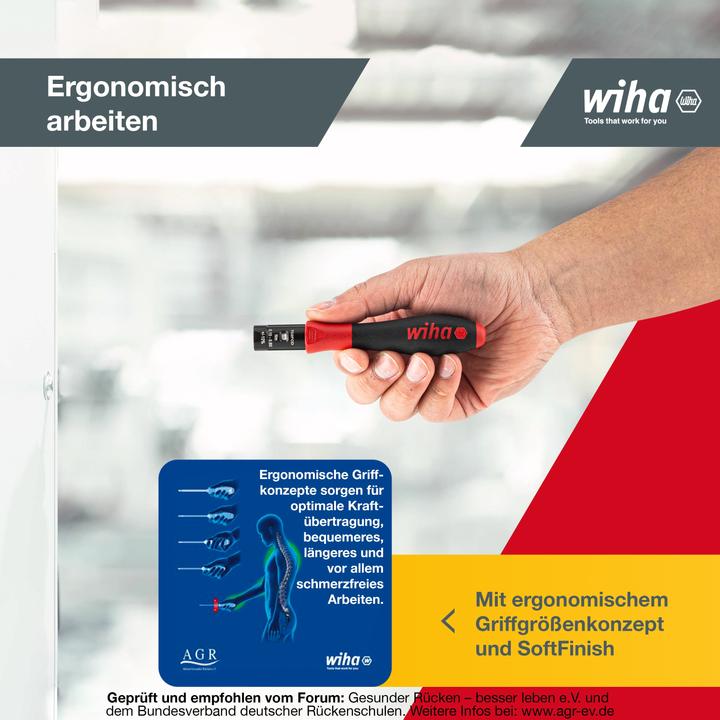Actual product image Wiha Torque screwdriver (0.50 Nm, 2 Nm)