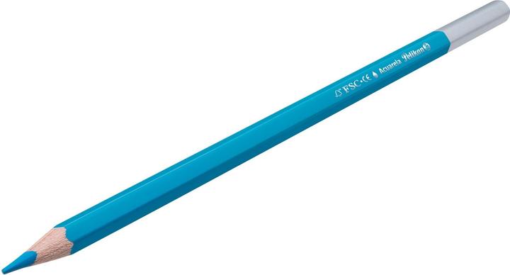 Produktbild Pelikan Buntstifte Aquarell (Orange, Gelb, Hautfarbe, Violett, Dunkelgrün, Pink, Schwarz, Rot, Hellgrün, Braun, Dunkelblau, Hellblau, 12 x)