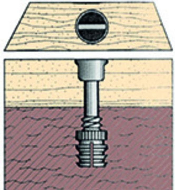 Actual product image Werkstarck Double glazing screws ARRET (1 Screws per piece)