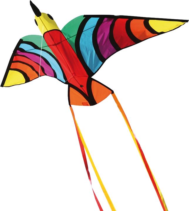 Invento Oiseau dragon tropical