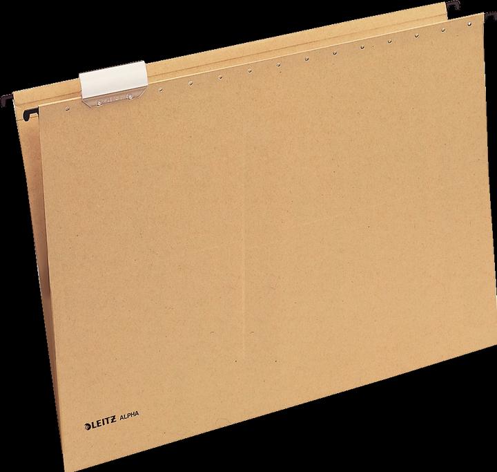 Actual product image Leitz Alpha suspension file (A3, 1 x)