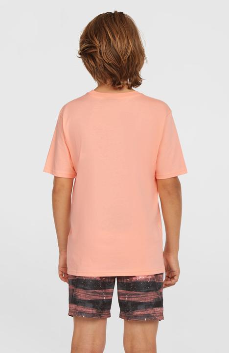 Image du produit O'Neill Cali Gradient 14" Swimshorts (104)