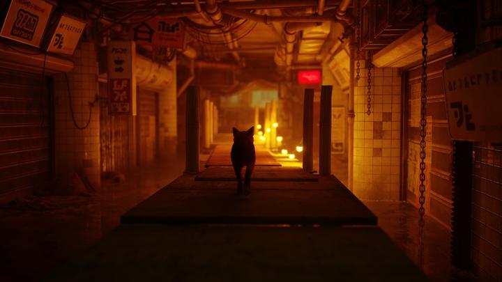 Produktbild Annapurna Interactive Stray (PS4, EN)