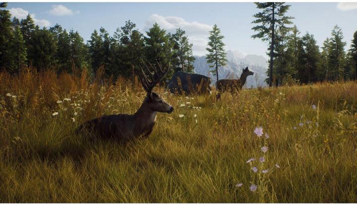 Immagine prodotto THQ Via del cacciatore (PS5, IT, FR, EN)