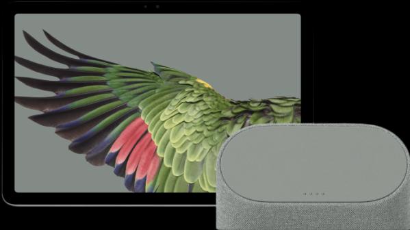 Actual product image Google Pixel EU (WLAN only, 10.95", 256 GB, Hazel)