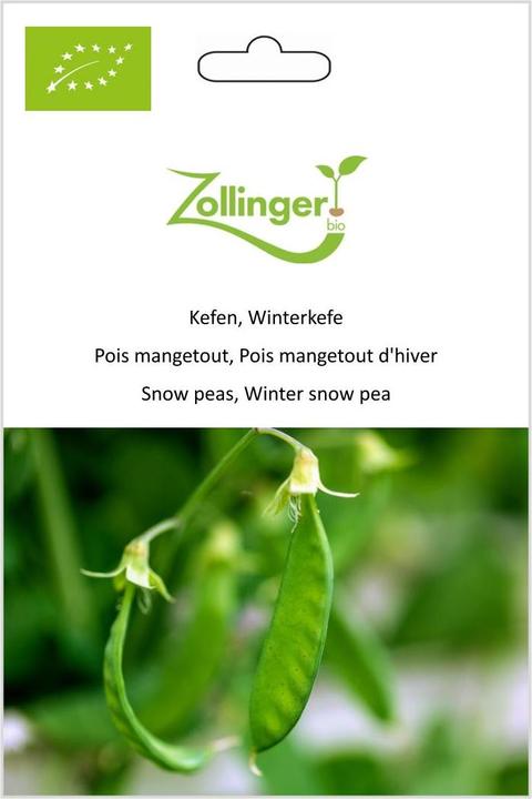 Produktbild Zollinger Bio Kefen, Winterkefe (Keimlinge)