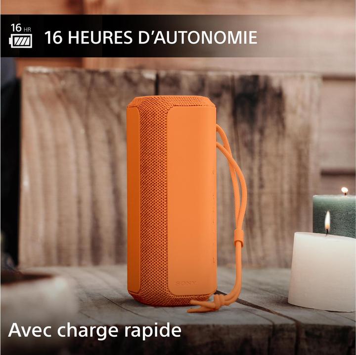 Immagine prodotto Sony SRS-XE200 (16 h, Batteria ricaricabile)