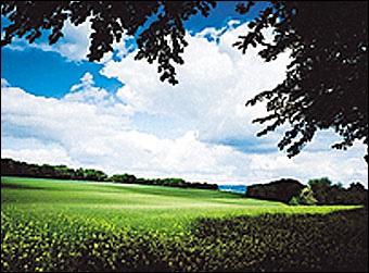 Produktbild Cokin Z121L Verlauffilter grau 2 (ND2) (100 mm, ND- / Graufilter, 100 mm)