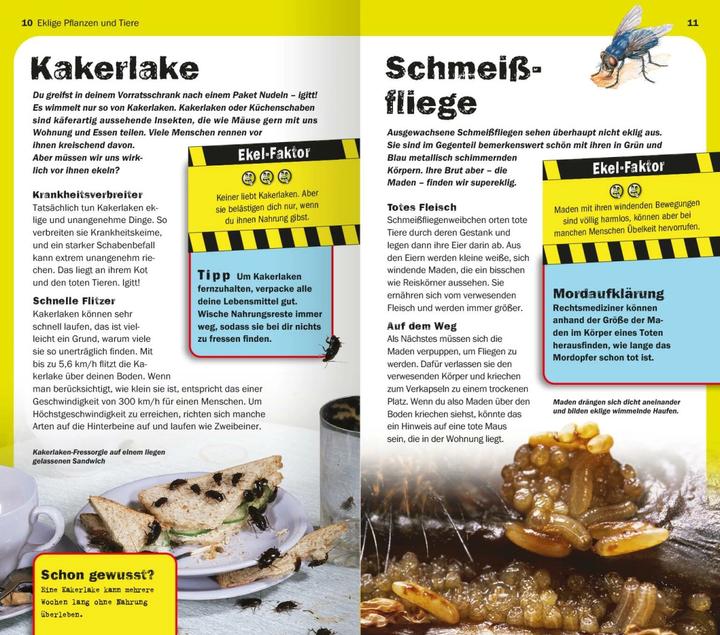Produktbild Die 100 ekligsten Dinge der Welt (Deutsch, Anna Claybourne, 2024)