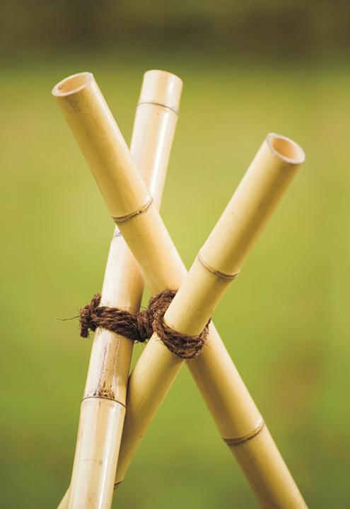 Actual product image Windhager Coconut tree tie