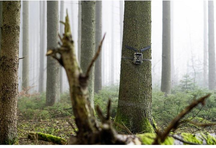 Immagine prodotto Dörr Istantanea Cloud 4G