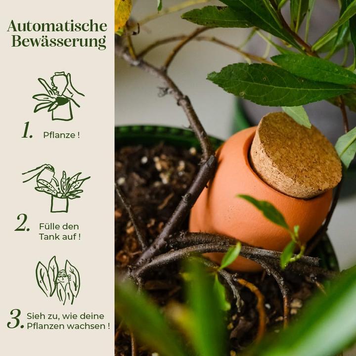 Image du produit Pepin Bewässerungskegel Olla Terrakotta (2er Set) (Cône d'argile)