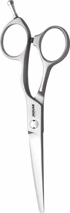 Jaguar Xenox Titan (15.24 cm)
