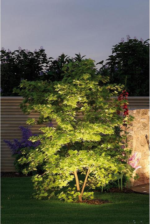 Immagine prodotto Paulmann Plug & Shine Sting Ergänzungsset (520 lm, IP67)