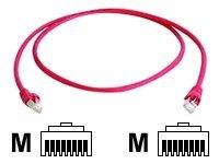 Produktbild Telegärtner MP8 FS 600 (S/FTP, CAT6a, 15 m)