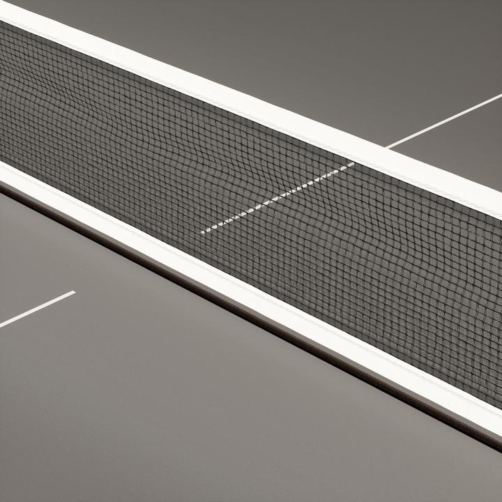 Image du produit Pongori PPT 530 MEDIUM
