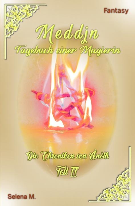 Produktbild Die Chroniken von Aneth / Meddjn - Tagebuch einer Magierin (Selena M., 2018)