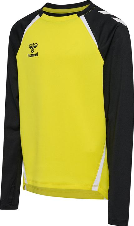 blazingyellowblack