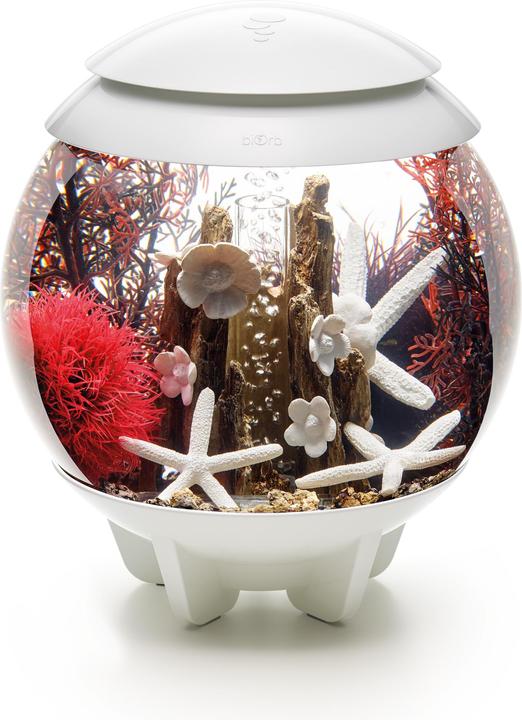 Image du produit Oase BiOrb Aquarium 15 Set décoratif (Décoration, autres éléments)