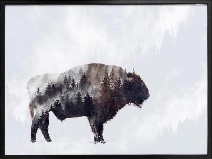 Produktbild Trenddeko Der Bison (80 x 60 cm)