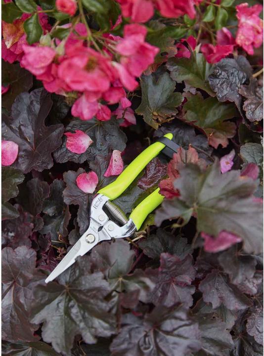 Immagine prodotto Burgon & Ball FloraBrite forbici per fiori