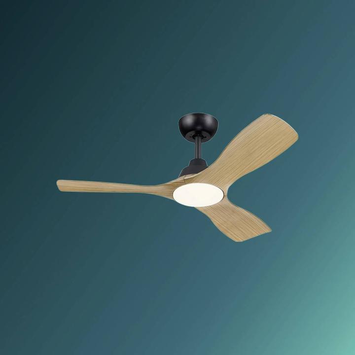 Actual product image Philips Olas
