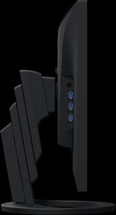 Actual product image Eizo EV2495 FlexScan (1920 x 1200 pixels, 24")