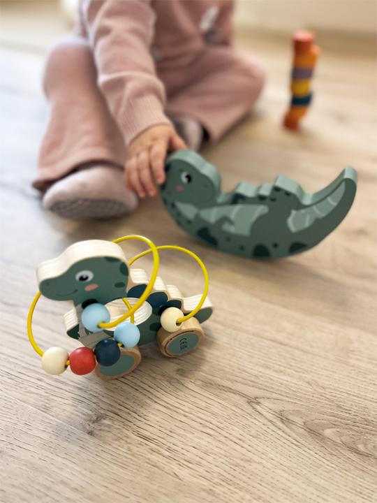Actual product image small foot Push-Along Toy with Bead Maze "Dino"