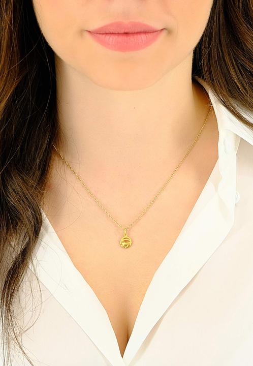 Image du produit Muau Capricorne (Or jaune 750/18K)
