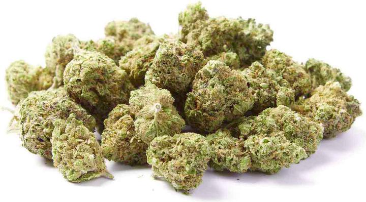 Actual product image Herba di Berna Harlequin Minibuds (21 g, Indoor)
