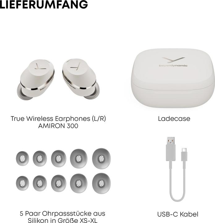 Image du produit Beyerdynamic Amiron 300 (ANC, 7 h, Sans fil)
