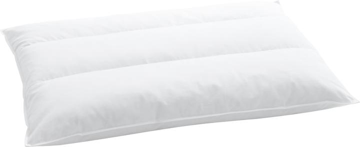 Produktbild Billerbeck Terzo 250 (65 x 100 cm)