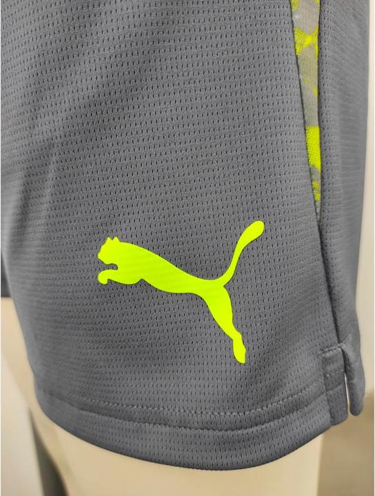 Actual product image Puma individualCUP shorts (S)