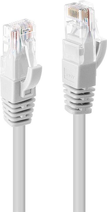 Actual product image Lindy Network cable (UTP, CAT6, 15 m)