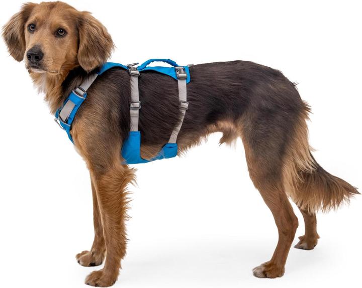 Image du produit Ruffwear Flagline harnais pour chien (M, Chien)