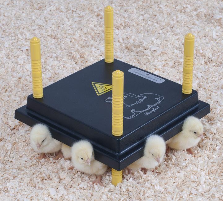 Actual product image Olba Comfort